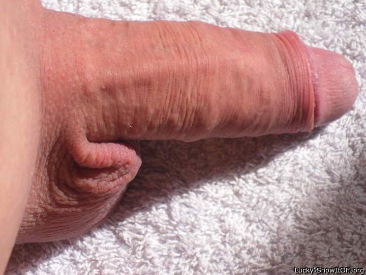 geiler blank rasierter schwanz   