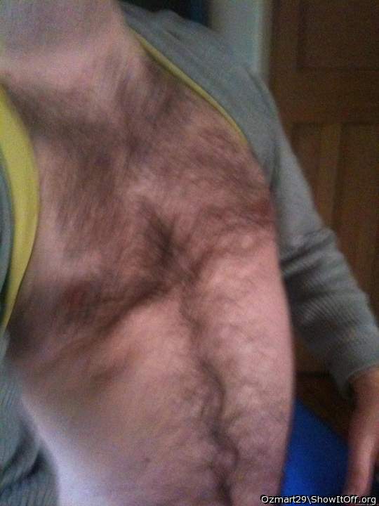 My hairy chest