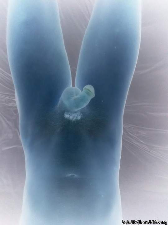 Photo of a boner from bela36