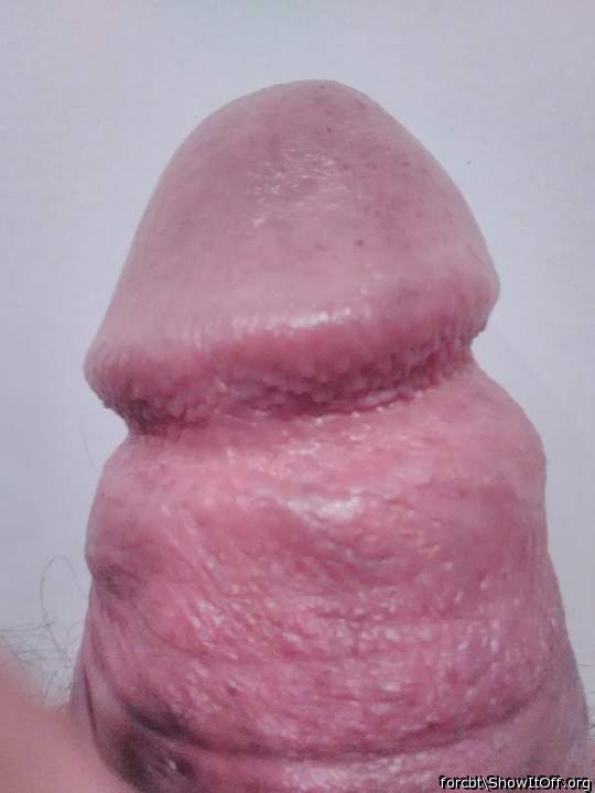 Photo of a sausage from forcbt