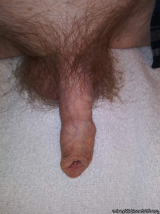 Foreskin