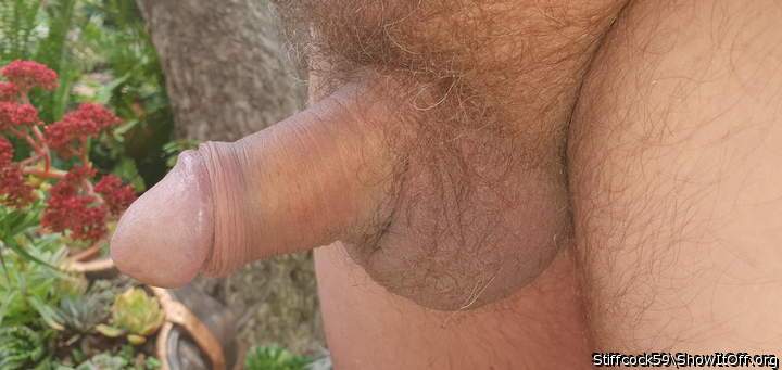 TIME FOR A SHAVE