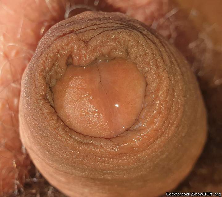 Photo of a stiffie from cockforcock