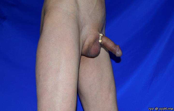 Photo of a meat stick from ryo