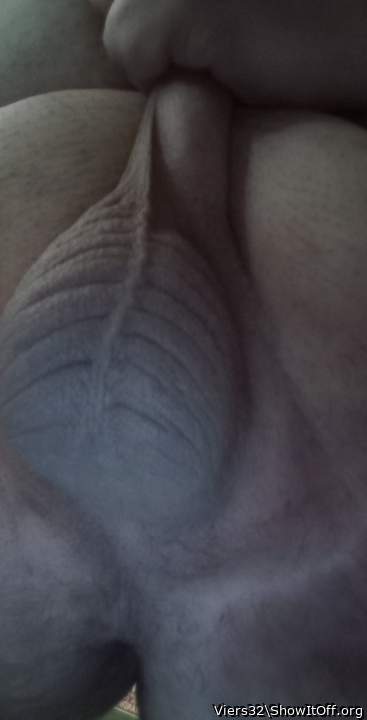Testicles Photo from Viers32