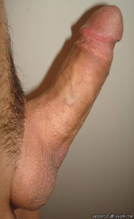 Photo of a dong from apolo10