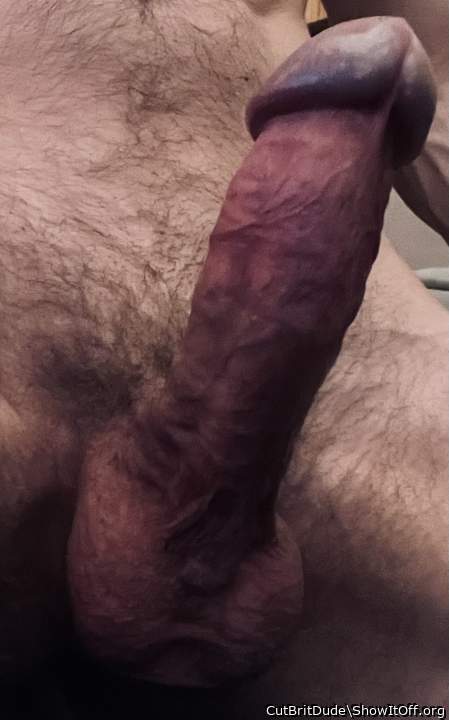 Spectacular hard-on and balls, hot horny close-up display   