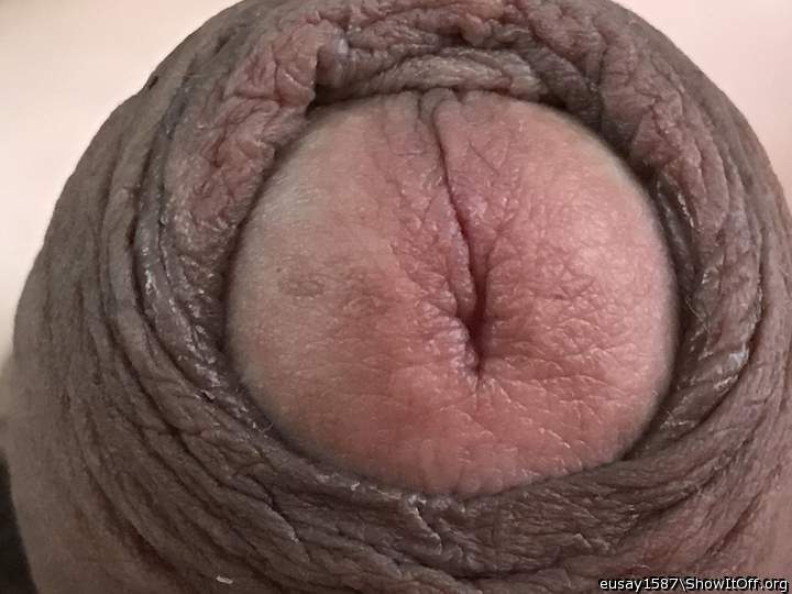 Photo of a penis from eusay1587