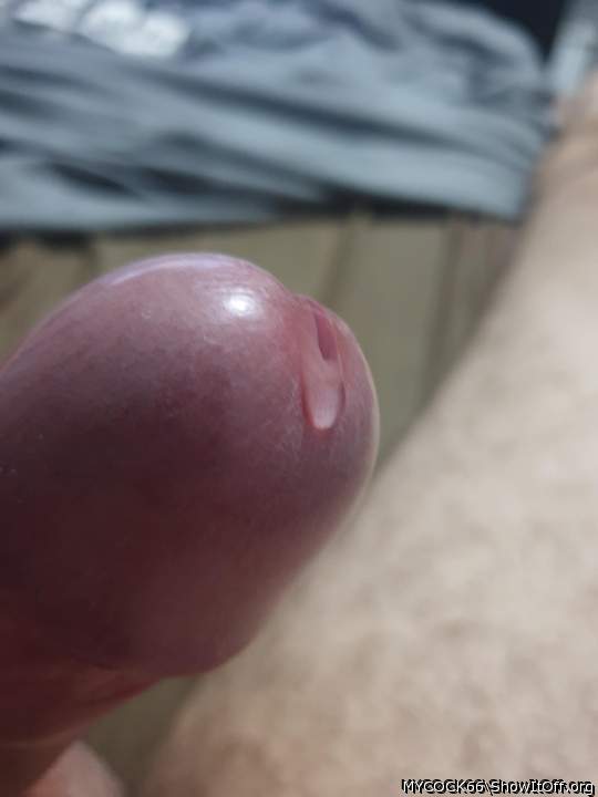Photo of a dong from MYCOCK66