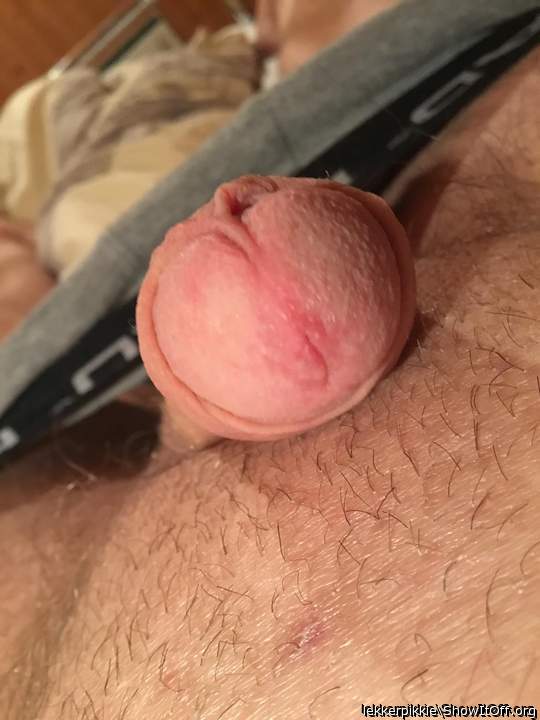 Photo of a dong from lekkerpikkie