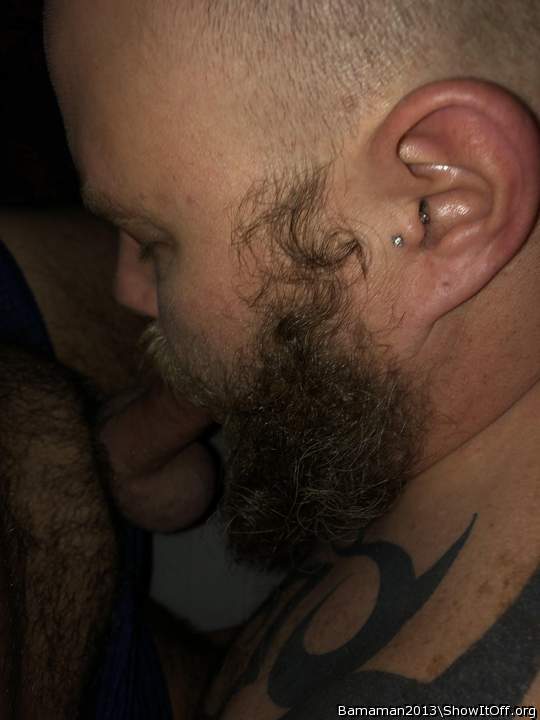Adult image from Bamaman2013
