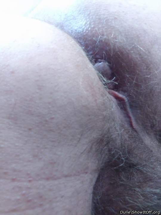 Photo of a stiffie from Dulle