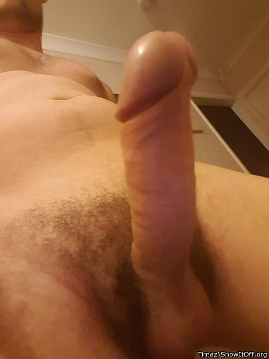 thanx for this pic, very fine 