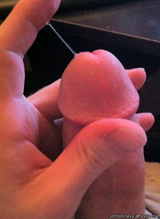 Photo of a dong from johnstoneyy