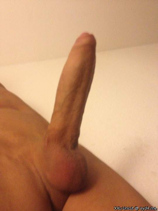 Superb erect cock  