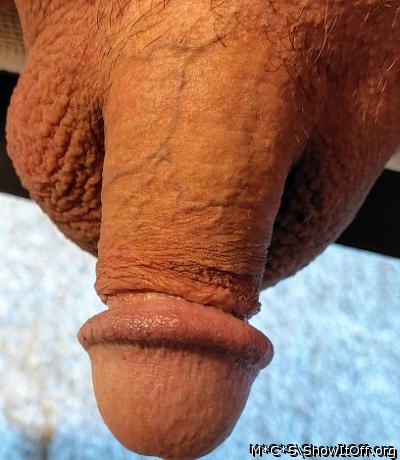Would love to suck your cock for you