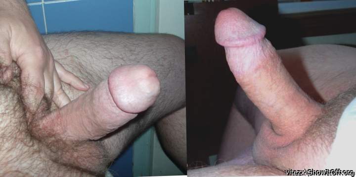 Two cocks