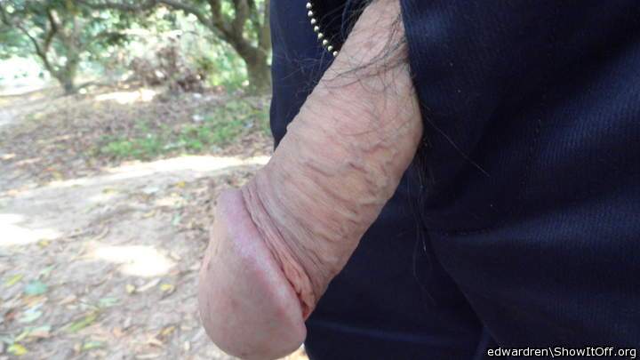 Chinese cock 992