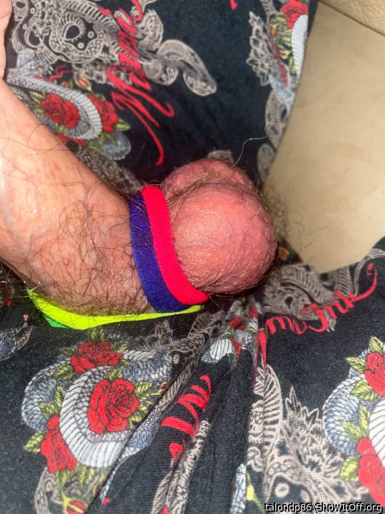 Testicles Photo from talondp86