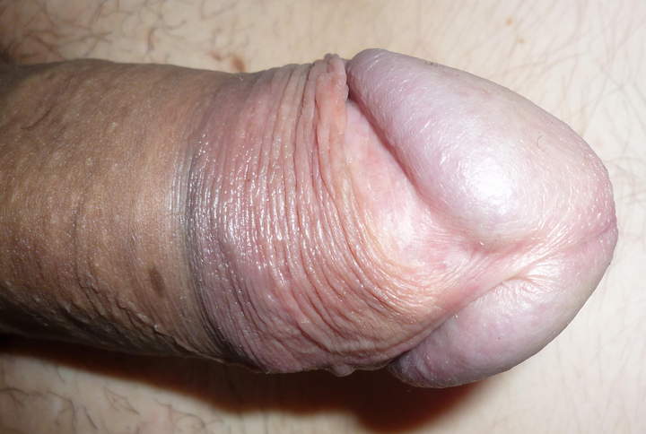 Photo of a python from nylonlover