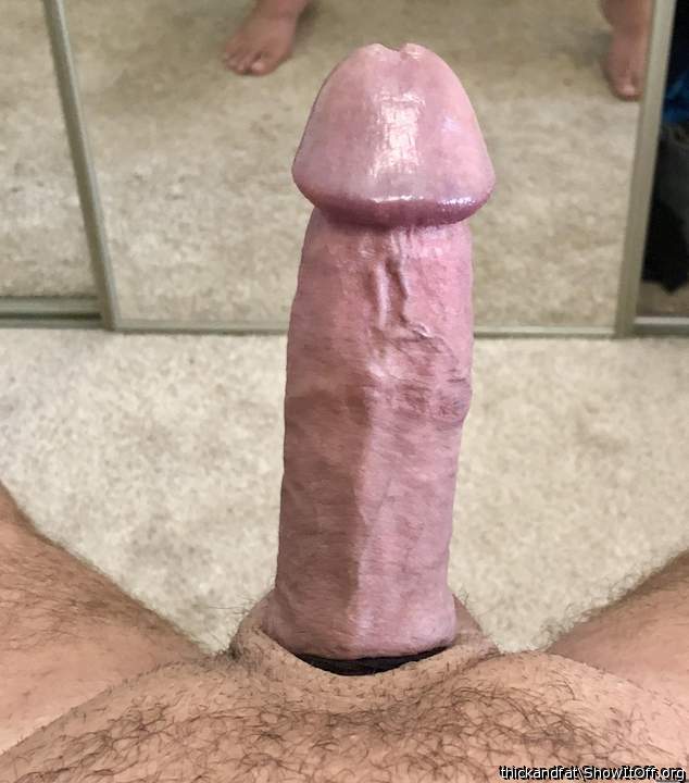 I would bury my cock deep in her pussy