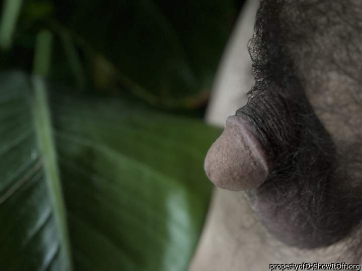 Beautiful photo of your little dick 