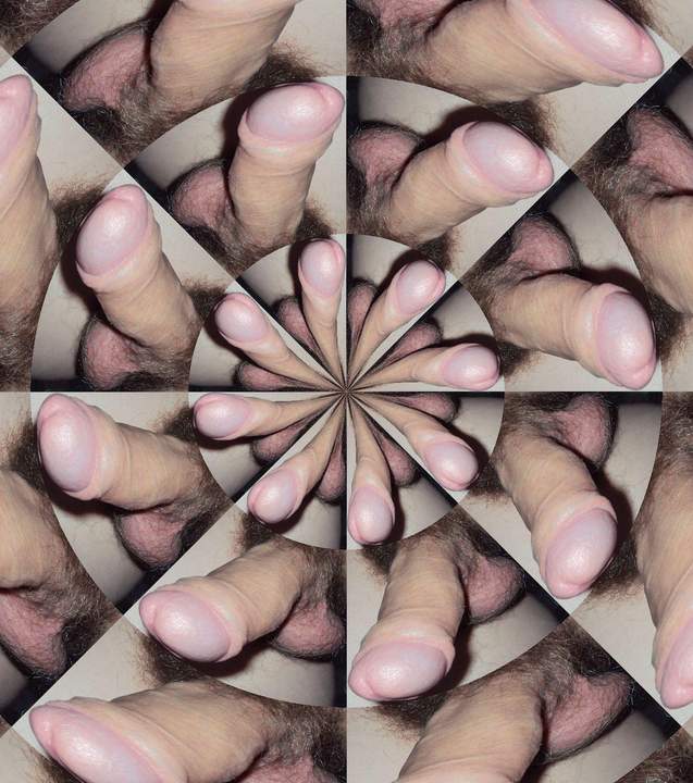 many penis