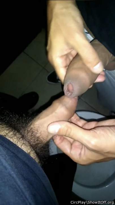Docking comparing foreskins