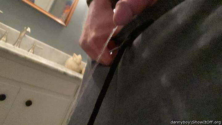 Photo of a middle leg from Dannyboy