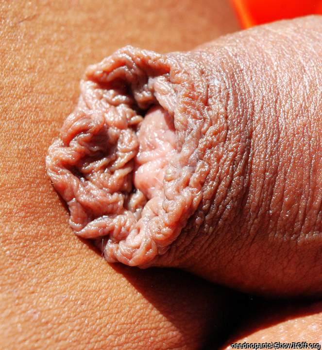 Wonderful foreskin 