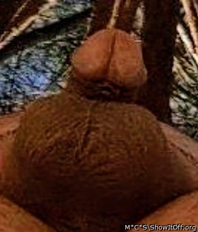 Photo of a tool from M*C*S