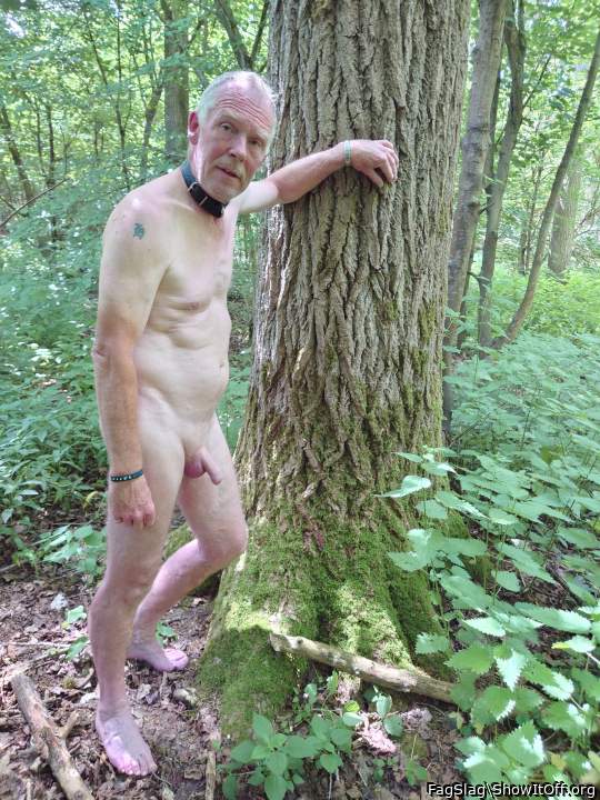 Photo of a wiener from FagSlag