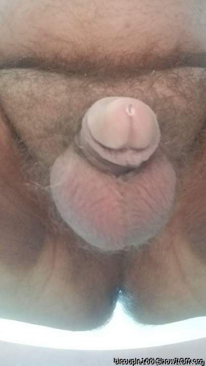 Nice hairy cock an balls