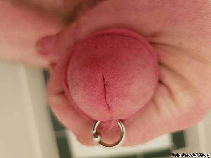 Photo of a third leg from fluid