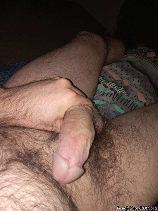 Photo of a python from Gregf