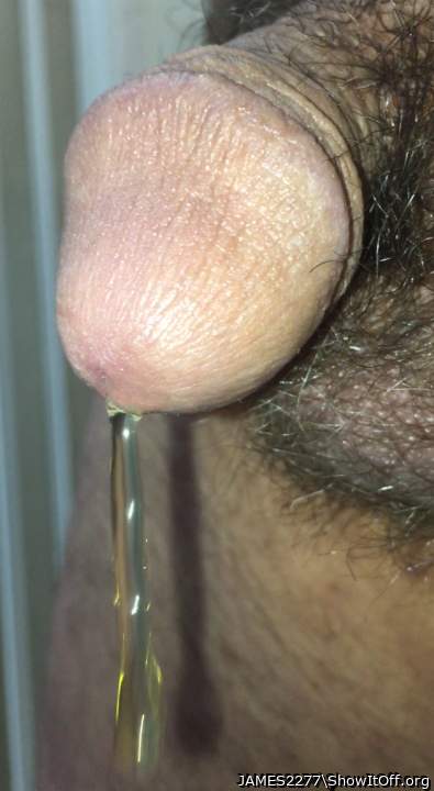 Photo of a stiffie from JAMES2277