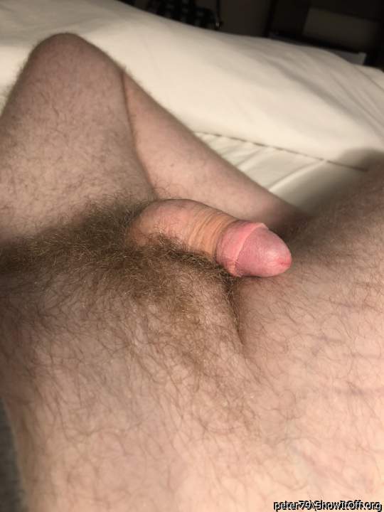 Photo of a cock from peter79