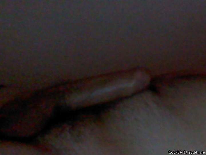 Photo of a middle leg from Cock84