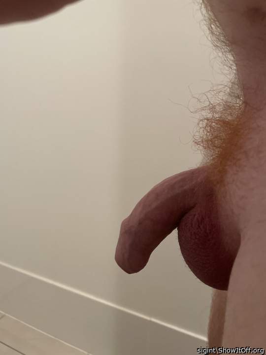 HOT hairy dick 