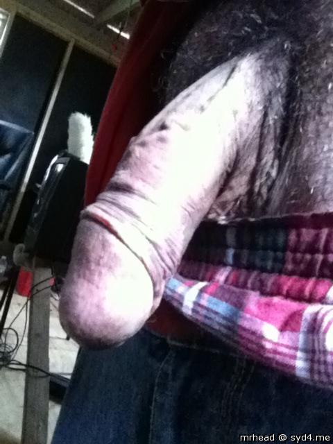 Photo of a tool from Mrhead