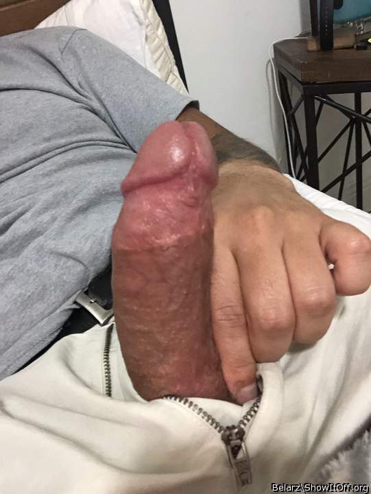 Photo of a third leg from Belarz