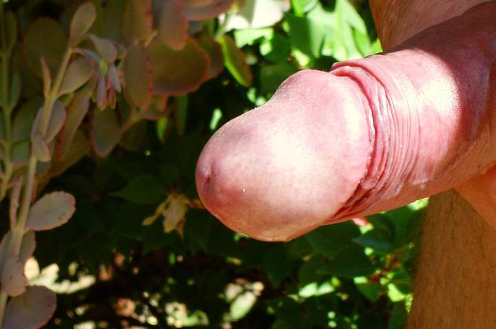Photo of a tool from cuddles1