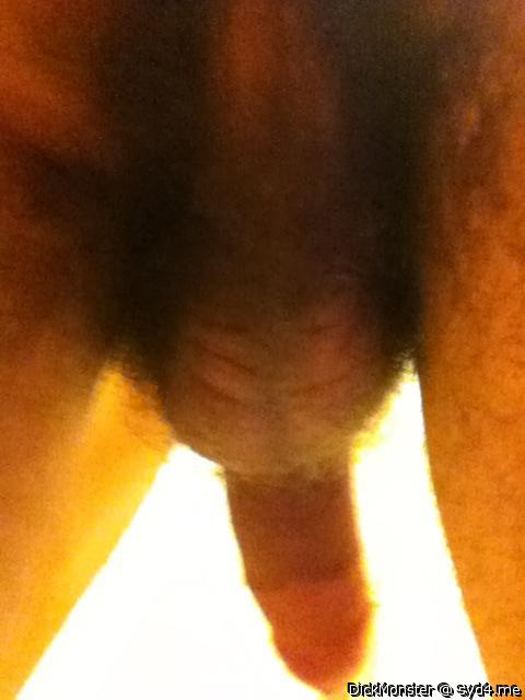 Photo of a third leg from DickMonster