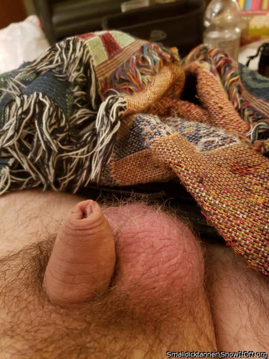 Aw hehe such an adorable little dick