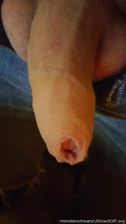 Photo of a phallus from monsterschwanz