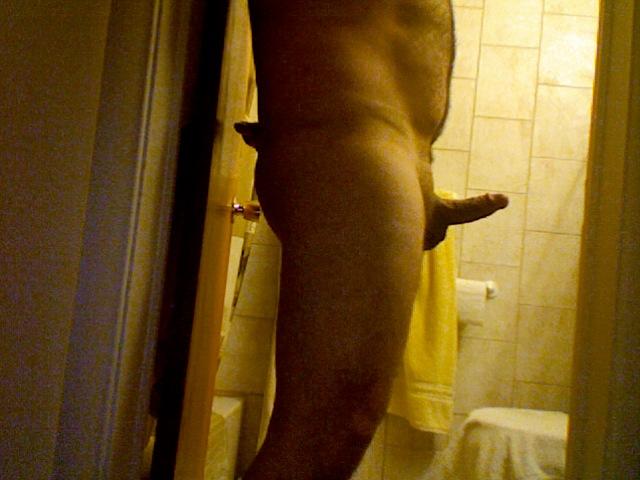 Photo of a middle leg from pboy