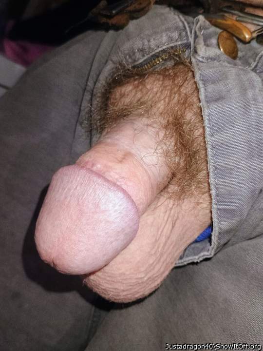 Photo of a bat from Justadragon40