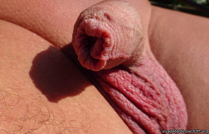 nice foreskin great for docking