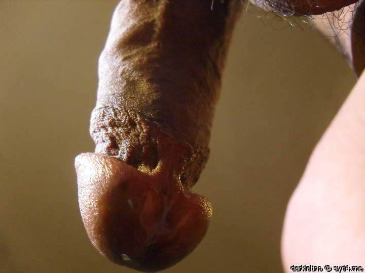 Photo of a hot dog from darklatino