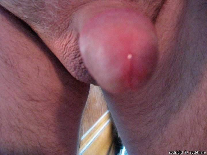 Photo of a schlong from rodrigid
